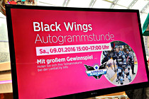 AB11.jpg