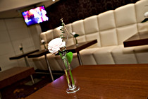 Casino_AutoGuenther__025.jpg