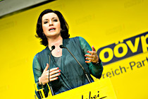 oevp_021.jpg