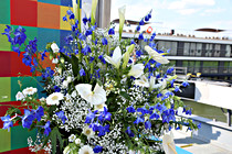JR__0618.jpg