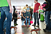 LNF16_Hagenberg021.jpg
