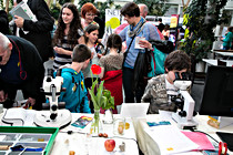 LNF16_Hagenberg029.jpg
