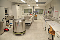 LNF16_Ried_Besamungsstation-003.jpg