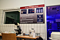 LNF16_Ried_Besamungsstation-004.jpg