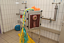 LNF16_Ried_Besamungsstation-005.jpg