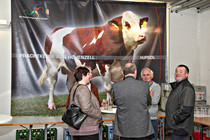 LNF16_Ried_Besamungsstation-007.jpg