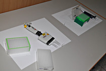 LNF16_Ried_Besamungsstation-011.jpg