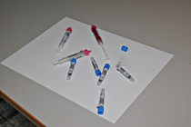 LNF16_Ried_Besamungsstation-012.jpg