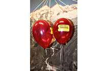 LNF16_gmunden_khof027.jpg