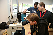LNF16_LINZ_DICE004.jpg