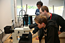 LNF16_LINZ_DICE005.jpg