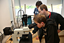 LNF16_LINZ_DICE006.jpg