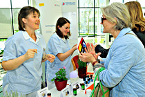 LNF16_KlinikumWels007.jpg