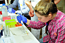LNF16_KlinikumWels016.jpg