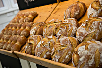 backaldrin_0015.jpg