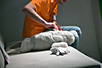 sommerfest023.jpg