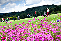 Wr_Staedtische_Golf_006.jpg