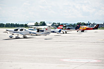 Lions_0019.jpg