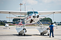 Lions_0025.jpg