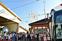 sternhafferl007.jpg