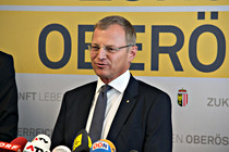 stelzer_pk070.jpg