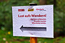orf_wanderung_027.jpg