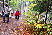 orf_wanderung_028.jpg