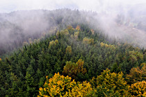 orf_wanderung_029.jpg