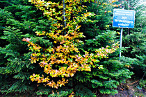 orf_wanderung_031.jpg