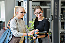 Litec_017.jpg