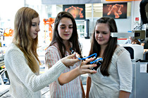 Litec_028.jpg