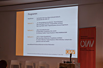 afo_BrueckenLinz019.jpg