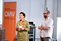 afo_BrueckenLinz021.jpg