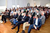afo_BrueckenLinz023.jpg
