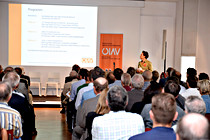 afo_BrueckenLinz026.jpg