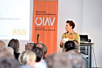 afo_BrueckenLinz032.jpg