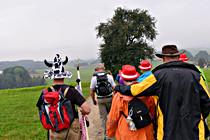 orf_sigharting_020.jpg