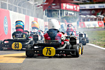 rotax_donnerstag336.jpg
