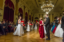 fruehlingsball_0004.jpg
