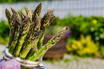 Spargel_Wein_030_SKL3773.jpg