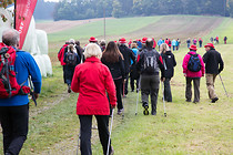 ORF_Wanderung025.jpg