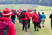 ORF_Wanderung027.jpg