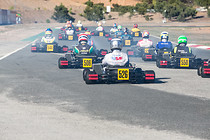 201707_Rotax032.jpg