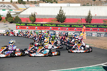 Rotax09_008.jpg