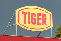 Wels_Tiger_0001.jpg