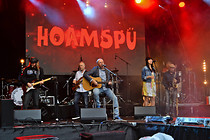 MusikFestiWels_Tag02_0007.jpg