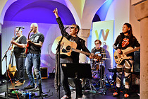 MusikFestiWels_Tag02_0009.jpg