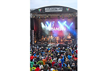 MusikFestiWels_Tag02_0010.jpg