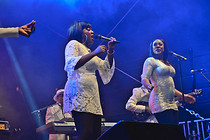 MusikFestiWels_Tag02_0018.jpg