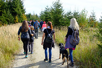 wandern_ampflwang_0014.jpg